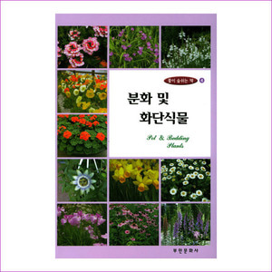 분화 및 화단식물(개정판)(꽃이 숨쉬는 책 4)