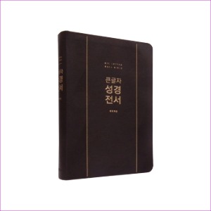 [다크브라운] 큰글자 성경전서 개역개정 NKR72EWXU - 대(大).단본.색인